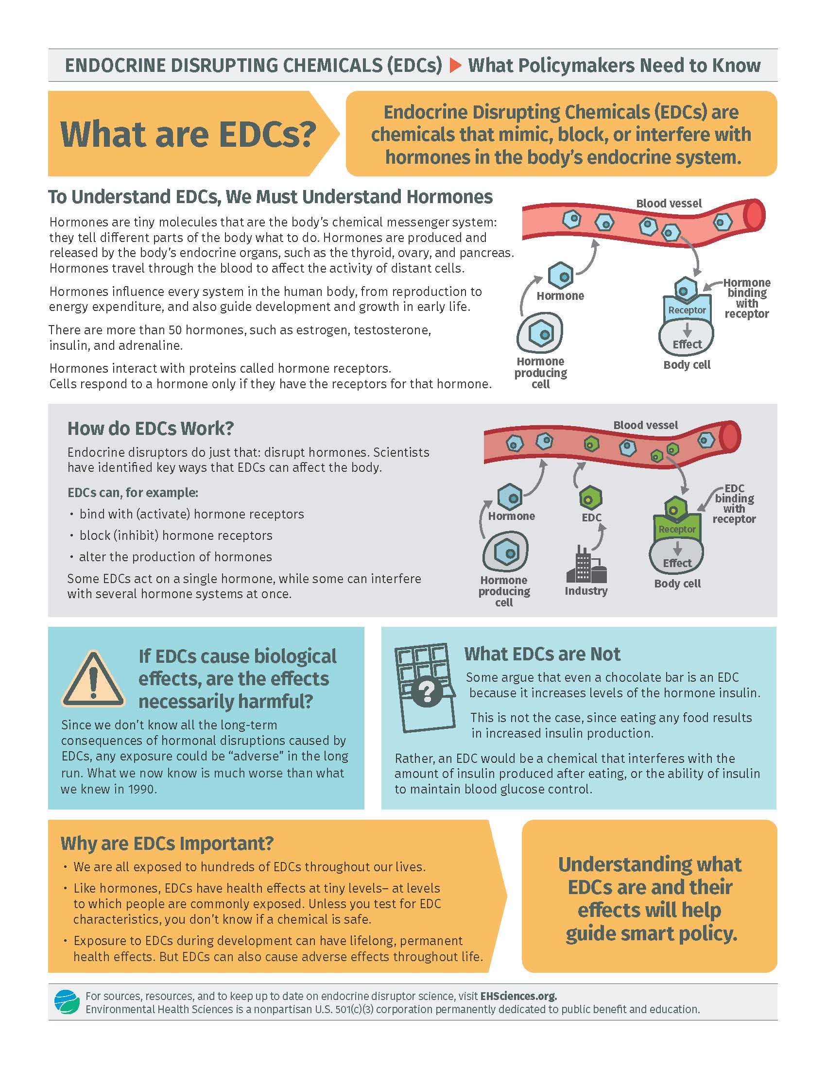 EDC Factsheets – HEEDS