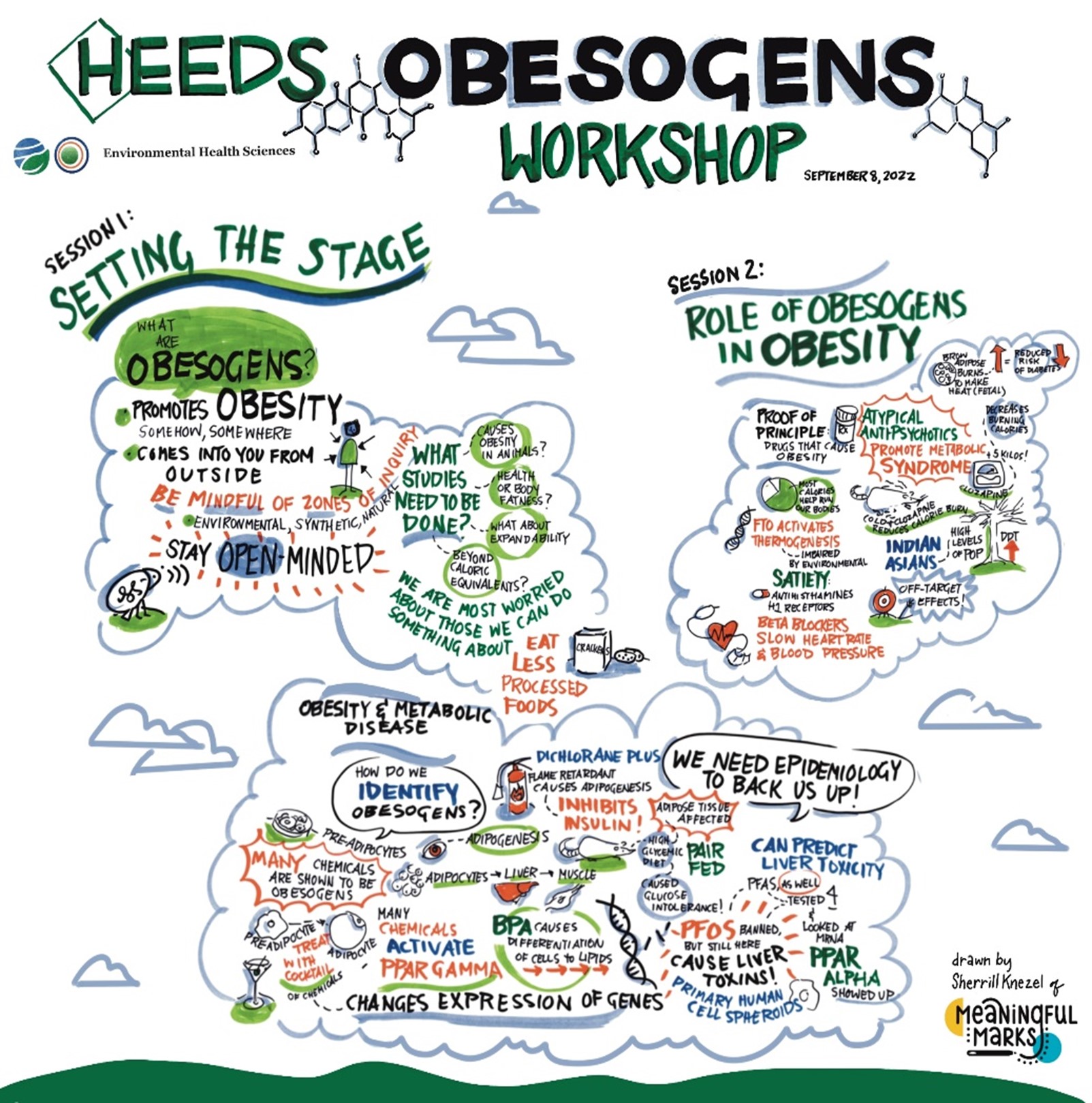 Wingspread Obesogen Workshop – HEEDS
